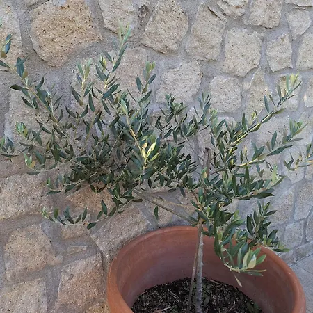 Appartement Il Tramonto